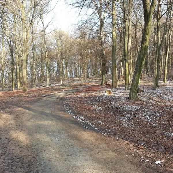 Veľký Šariš — photo 2