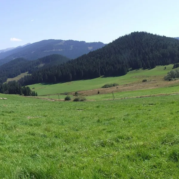 Veľké Borové — photo 2