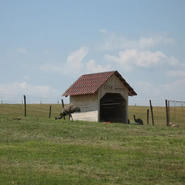 Veľké Teriakovce — photo 2