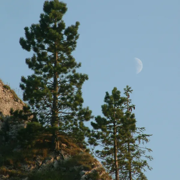 Vršatské Podhradie — photo 3