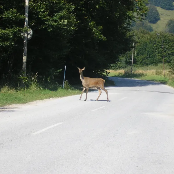 Vrícko — photo 2