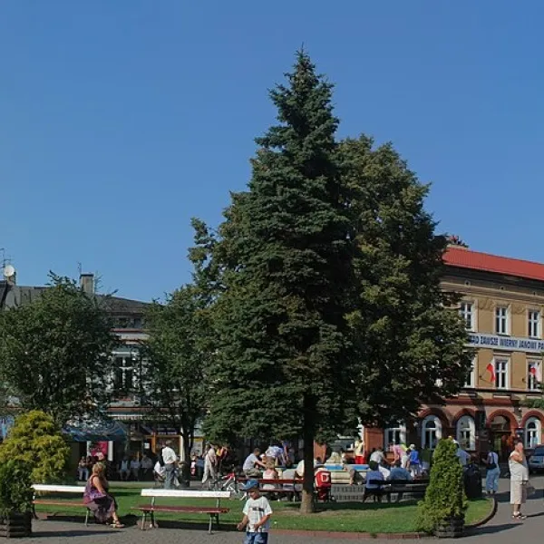 Wadowice — photo 2