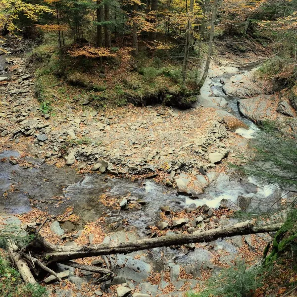 Zawoja — photo 5