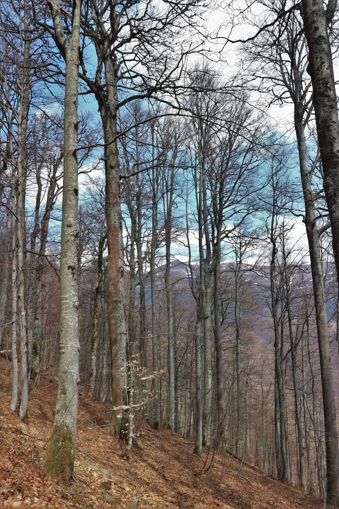 Mount Kinska