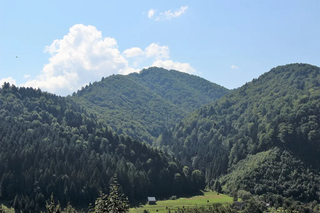 Гора Героїв Небесної Сотні