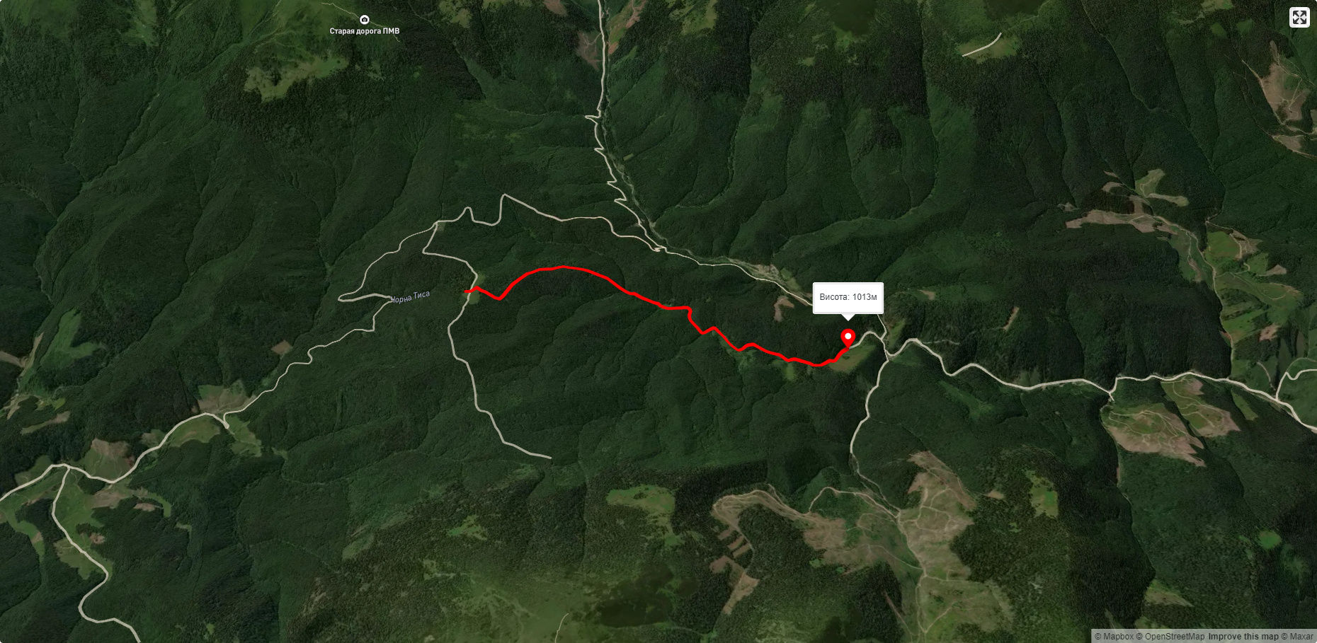 Черная Тиса - Гладин